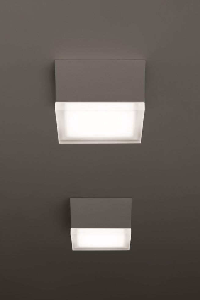 Wand- und Deckenleuchte Typ 1425LED Milieu